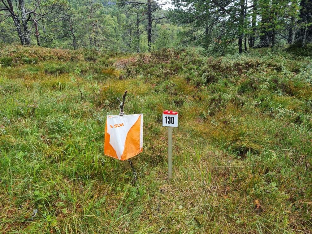 Ny stad for o-løp 28.8.